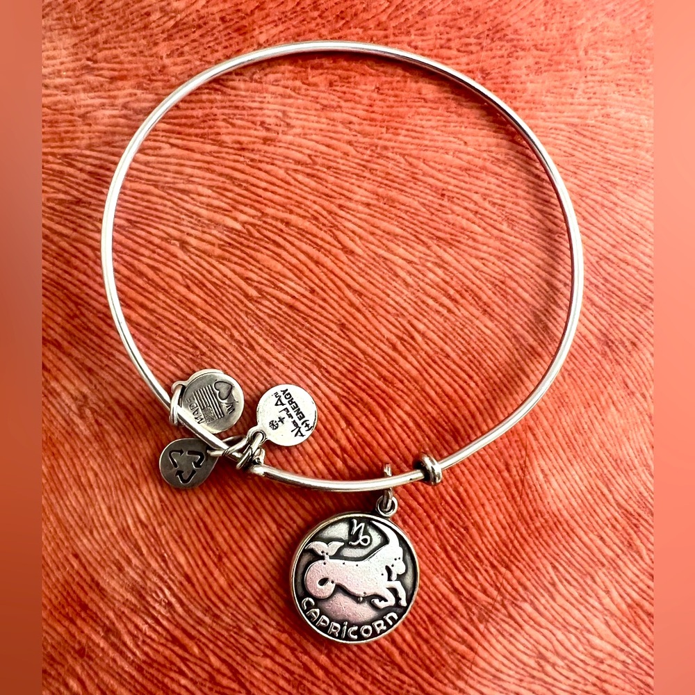 Alex and Ani Capricorn bracelet
